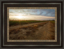 Load image into Gallery viewer, Plate 7 - Calm Before the Storm
