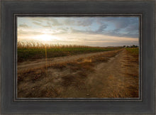 Load image into Gallery viewer, Plate 7 - Calm Before the Storm

