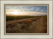 Load image into Gallery viewer, Plate 7 - Calm Before the Storm
