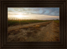 Load image into Gallery viewer, Plate 7 - Calm Before the Storm
