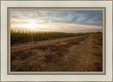 Load image into Gallery viewer, Plate 7 - Calm Before the Storm

