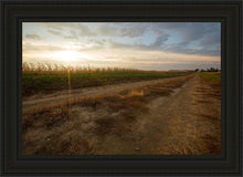 Load image into Gallery viewer, Plate 7 - Calm Before the Storm
