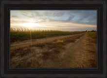 Load image into Gallery viewer, Plate 7 - Calm Before the Storm
