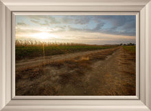 Load image into Gallery viewer, Plate 7 - Calm Before the Storm
