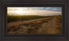 Load image into Gallery viewer, Plate 7 - Calm Before the Storm
