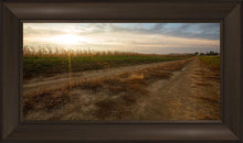 Load image into Gallery viewer, Plate 7 - Calm Before the Storm
