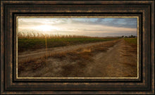Load image into Gallery viewer, Plate 7 - Calm Before the Storm

