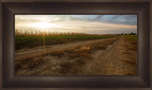 Load image into Gallery viewer, Plate 7 - Calm Before the Storm
