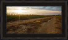 Load image into Gallery viewer, Plate 7 - Calm Before the Storm
