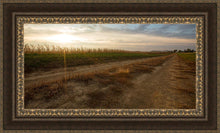 Load image into Gallery viewer, Plate 7 - Calm Before the Storm
