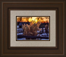 Load image into Gallery viewer, Plate 1 - Sunset Grasses
