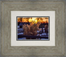 Load image into Gallery viewer, Plate 1 - Sunset Grasses
