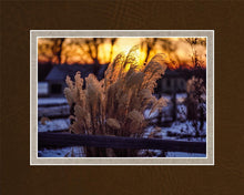 Load image into Gallery viewer, Plate 1 - Sunset Grasses
