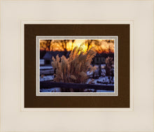 Load image into Gallery viewer, Plate 1 - Sunset Grasses

