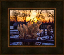 Load image into Gallery viewer, Plate 1 - Sunset Grasses
