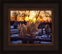 Load image into Gallery viewer, Plate 1 - Sunset Grasses
