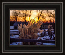 Load image into Gallery viewer, Plate 1 - Sunset Grasses
