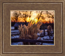 Load image into Gallery viewer, Plate 1 - Sunset Grasses

