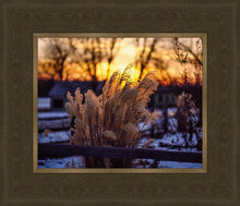 Load image into Gallery viewer, Plate 1 - Sunset Grasses
