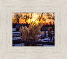 Load image into Gallery viewer, Plate 1 - Sunset Grasses
