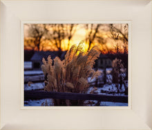 Load image into Gallery viewer, Plate 1 - Sunset Grasses
