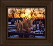 Load image into Gallery viewer, Plate 1 - Sunset Grasses
