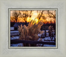 Load image into Gallery viewer, Plate 1 - Sunset Grasses
