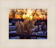 Load image into Gallery viewer, Plate 1 - Sunset Grasses

