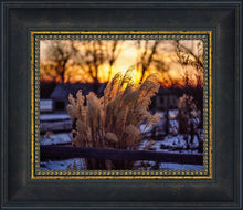 Load image into Gallery viewer, Plate 1 - Sunset Grasses

