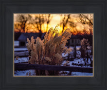 Load image into Gallery viewer, Plate 1 - Sunset Grasses
