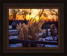 Load image into Gallery viewer, Plate 1 - Sunset Grasses
