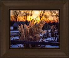 Load image into Gallery viewer, Plate 1 - Sunset Grasses
