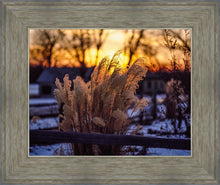Load image into Gallery viewer, Plate 1 - Sunset Grasses
