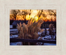 Load image into Gallery viewer, Plate 1 - Sunset Grasses
