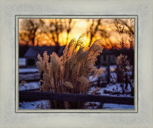 Load image into Gallery viewer, Plate 1 - Sunset Grasses
