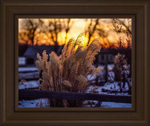 Load image into Gallery viewer, Plate 1 - Sunset Grasses
