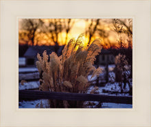 Load image into Gallery viewer, Plate 1 - Sunset Grasses
