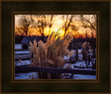Load image into Gallery viewer, Plate 1 - Sunset Grasses
