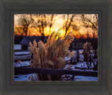 Load image into Gallery viewer, Plate 1 - Sunset Grasses
