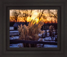 Load image into Gallery viewer, Plate 1 - Sunset Grasses
