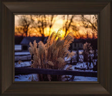 Load image into Gallery viewer, Plate 1 - Sunset Grasses

