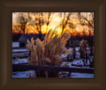 Load image into Gallery viewer, Plate 1 - Sunset Grasses
