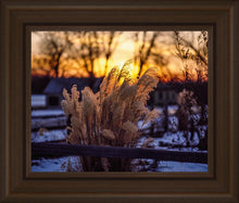 Load image into Gallery viewer, Plate 1 - Sunset Grasses
