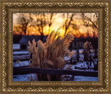 Load image into Gallery viewer, Plate 1 - Sunset Grasses
