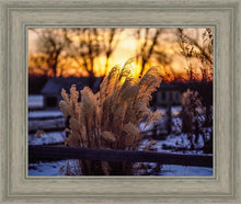 Load image into Gallery viewer, Plate 1 - Sunset Grasses
