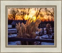 Load image into Gallery viewer, Plate 1 - Sunset Grasses

