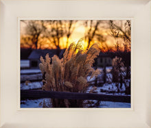 Load image into Gallery viewer, Plate 1 - Sunset Grasses
