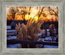 Load image into Gallery viewer, Plate 1 - Sunset Grasses
