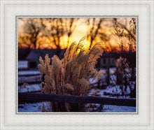 Load image into Gallery viewer, Plate 1 - Sunset Grasses
