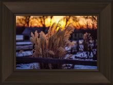 Load image into Gallery viewer, Plate 1 - Sunset Grasses
